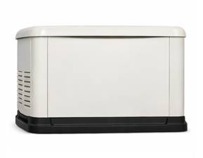 10 kW fleX Whole House Home Standby Generator